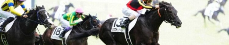 クロワデュノール強し！【2025/6/1/日本ダービー/東京競馬】
