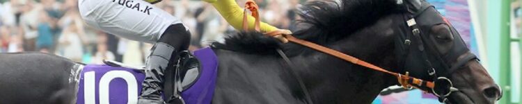 安田記念から得たもの・・・【2025/6/8/東京競馬】