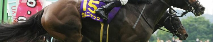オークスから得たもの・・・【2025/5/25/東京競馬】