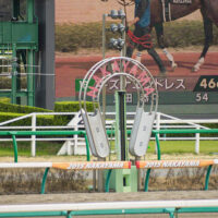 中山１１レース