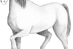 2150035-scaled-1