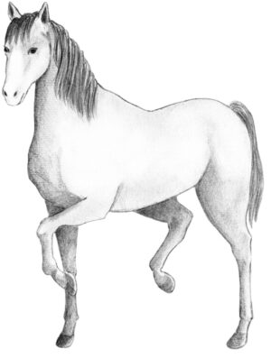2150035-scaled-1