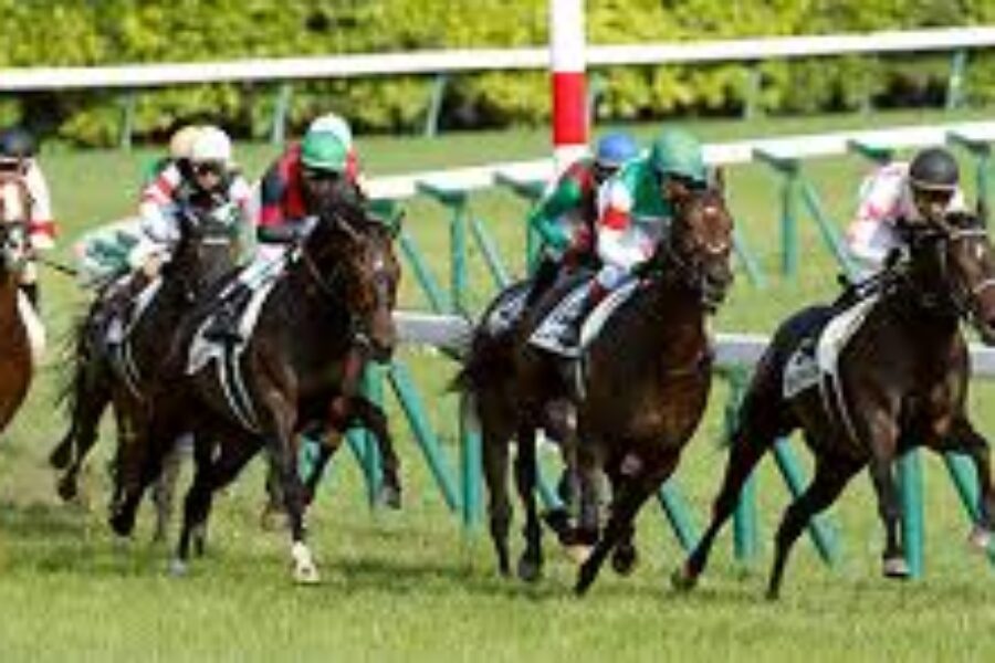 マイルCS～総合指数表＆2022年11月19日（土）注目馬☆推薦馬＆参考買い目