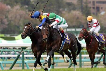 2026年1月31日（土）注目馬☆推薦馬＆参考買い目