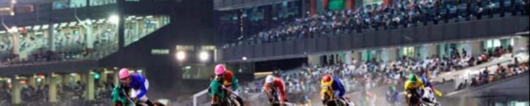 東京ダービー（Jpn I）【大井競馬】