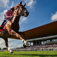 curragh