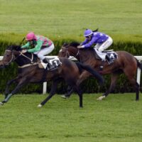 horse-racing-1577292_1280-2