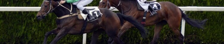 今週の注目馬☆推薦馬