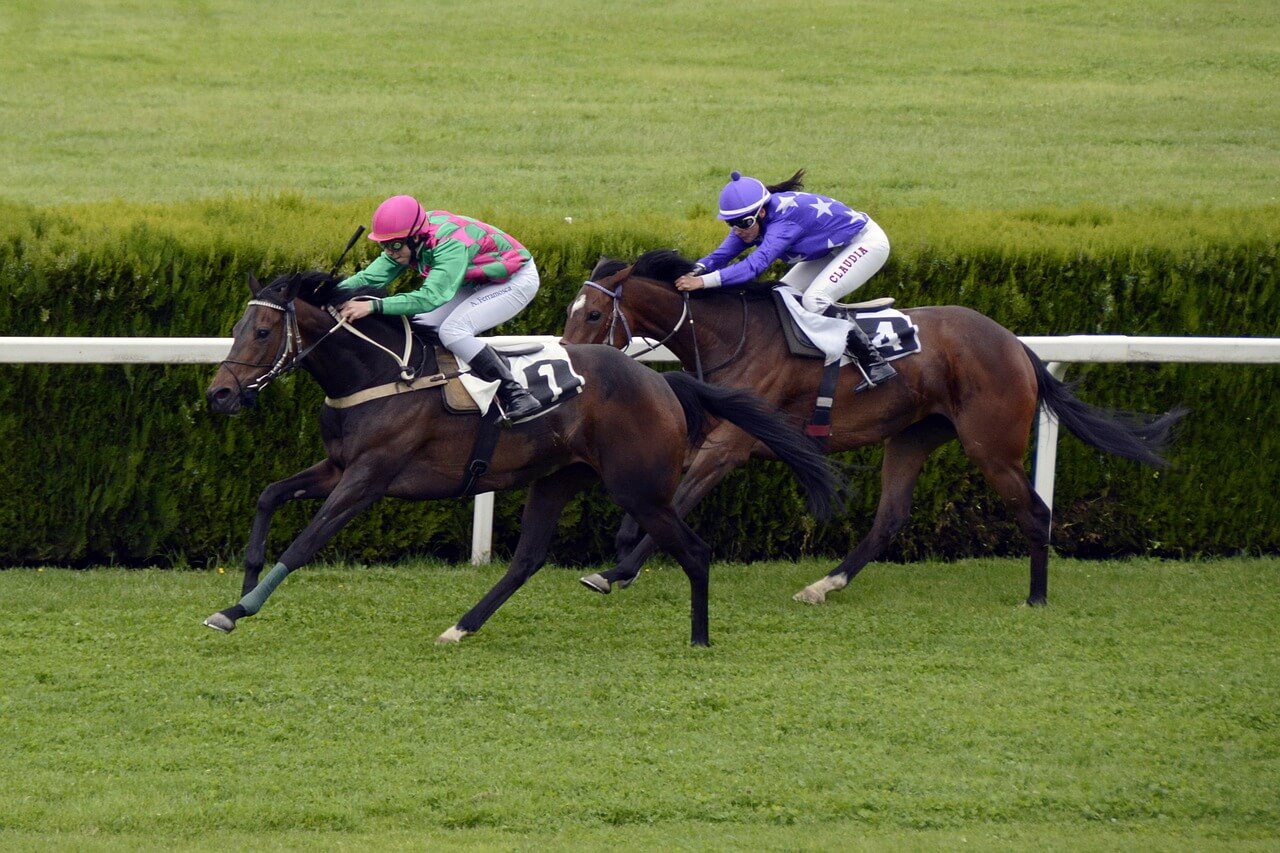 horse-racing-1577292_1280-2