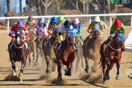 2023年4月16日（日）注目馬☆推薦馬＆参考買い目
