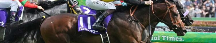 NHKマイルCから得たもの・・・【2025/5/11/東京競馬】