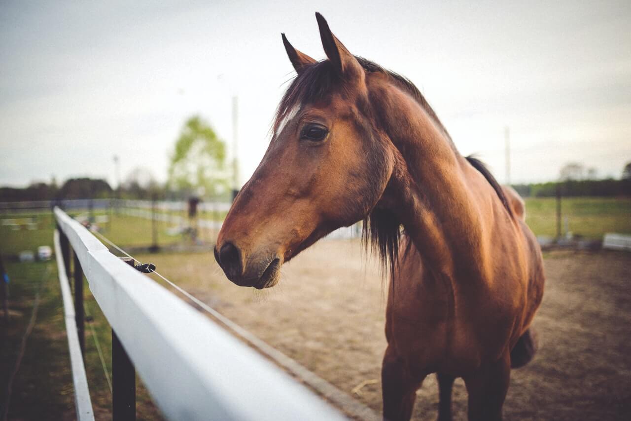 pexels-kaboompics-com-6468