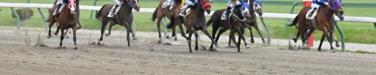 不来方賞（JpnII)【盛岡競馬】