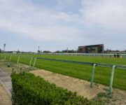 photo0000-4217