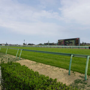 photo0000-4217