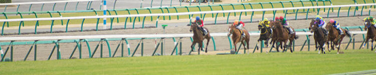 2022年6月12日（日）注目馬☆推薦馬＆参考買い目