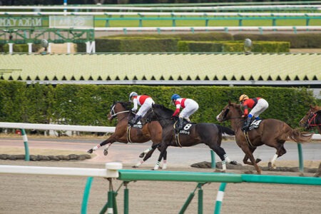 2023年7月12日（水）ジャパンダートダービー（大井）
