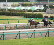 photo0000-4279