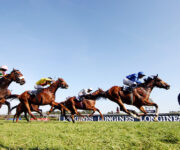 pic_race07