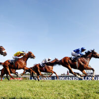 pic_race07