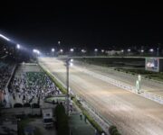 race_course_top_43