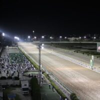 race_course_top_43