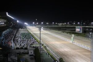 race_course_top_43