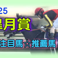satsukishou-2025-bana