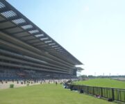 東京競馬場　ヴィクトリアマイル
