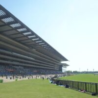 東京競馬場　ヴィクトリアマイル