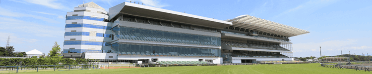 高松宮記念を終えて・・・【2025/3/30/中京競馬】