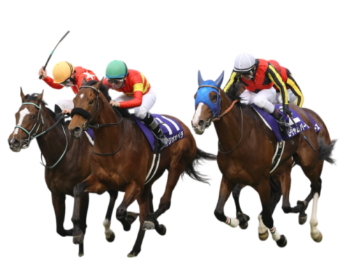 競馬