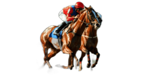 競馬