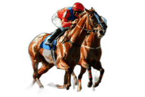 競馬