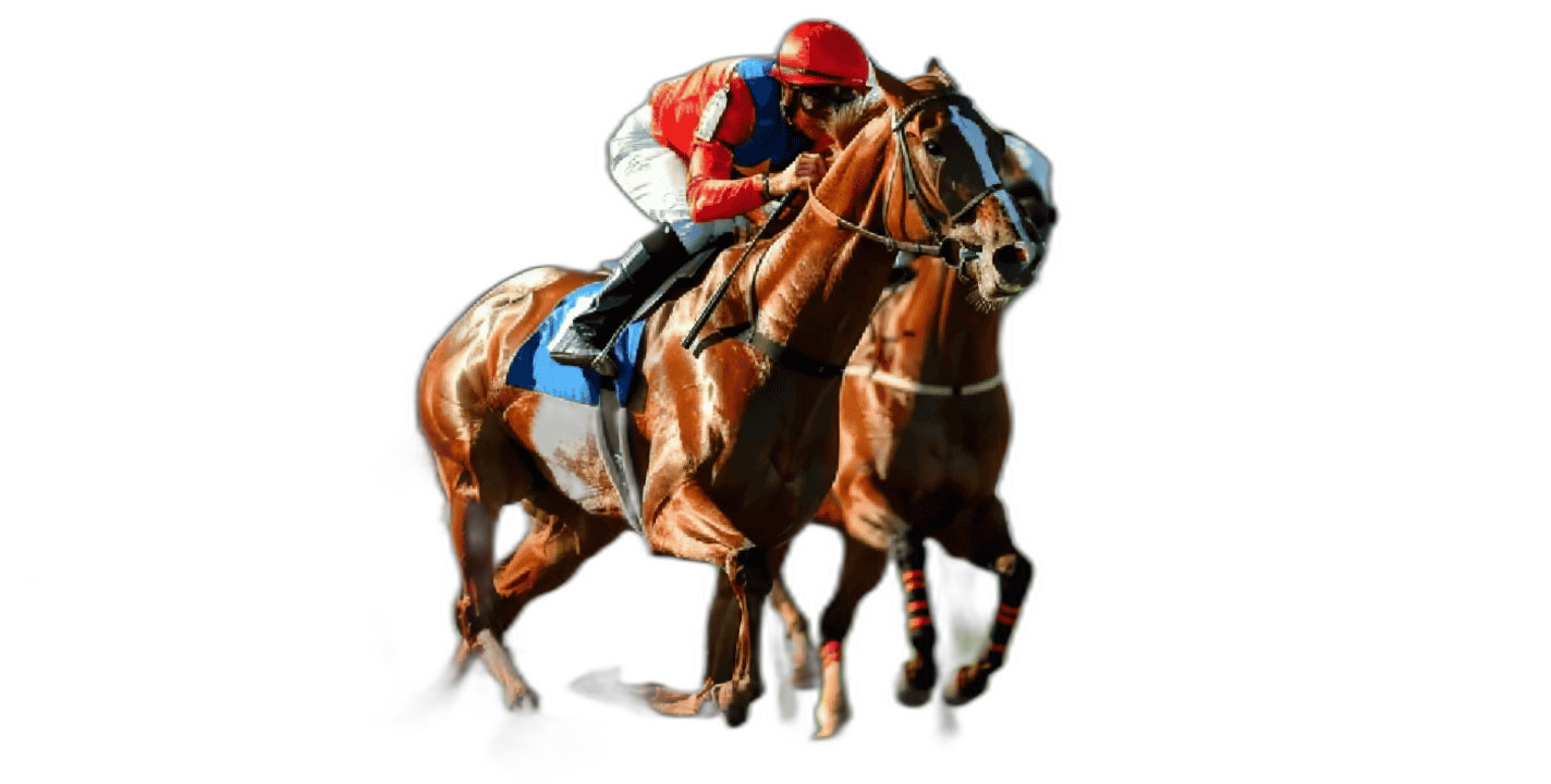 競馬