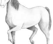 2150035-scaled