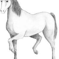 2150035-scaled
