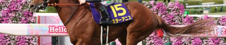 ジッピーチューンは捕らえた？【桜花賞】