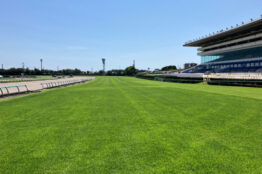 中山競馬