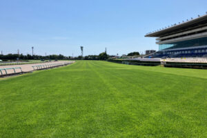 中山競馬