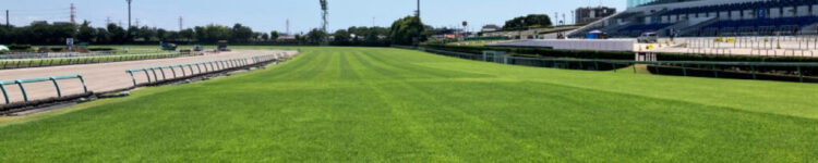 皐月賞/2026【総合指数表】