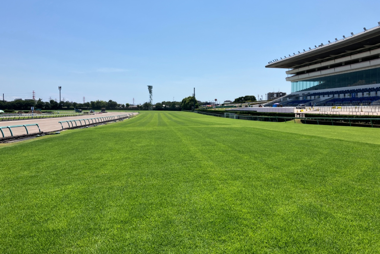 中山競馬