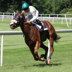 pexels-daniel-158976-1-scaled