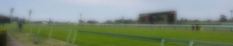 2026年5月3日（日）注目馬☆推薦馬＆参考買い目