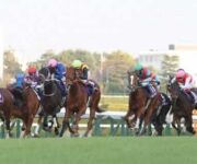 阪神競馬場2