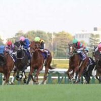 阪神競馬場2