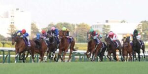 阪神競馬場2