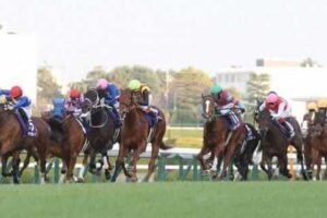 阪神競馬場2