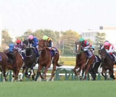 阪神競馬場2