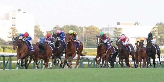 阪神競馬場2